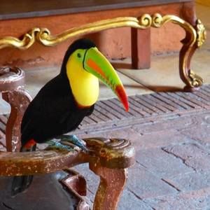 Meet your Posher, Feli